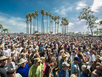 THIS WEEKEND: Summer Blues Festivals with Lisa Mann